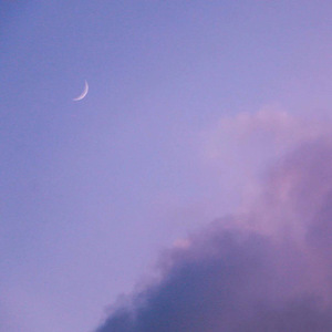 大美女🐻100%露出奶头
