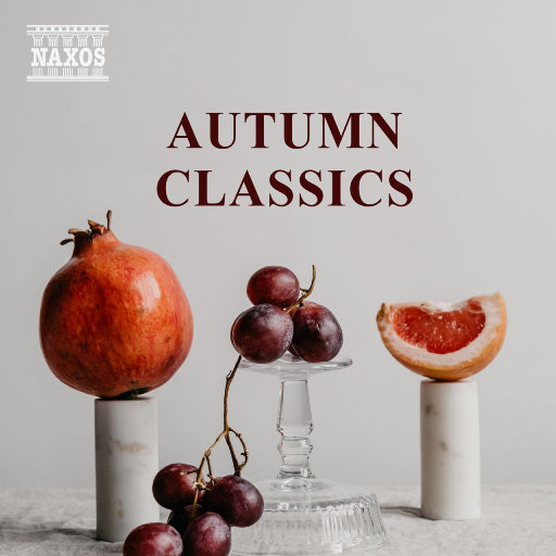 大美女🐻100%露出奶头
